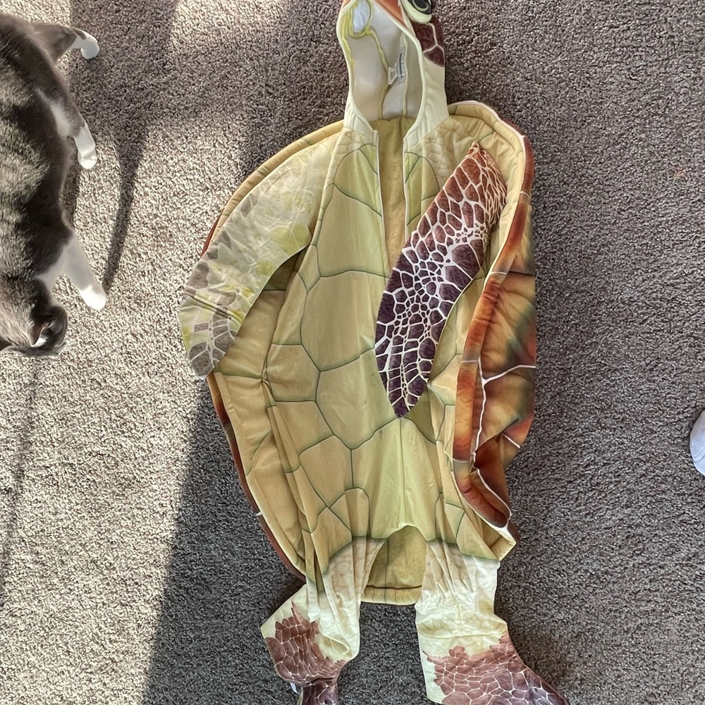 Kids Turtle Costume from Halloweencostumes.com. Green and Brown Shell